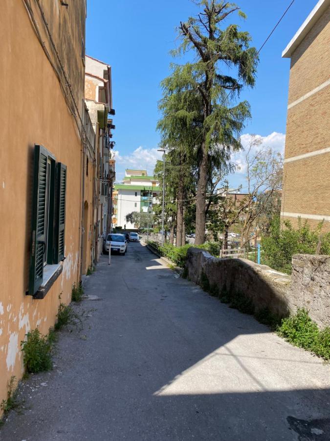 Domus Grania Daire Gragnano Dış mekan fotoğraf